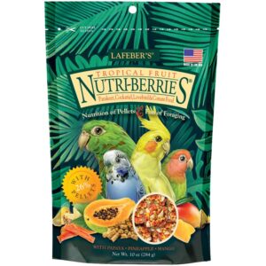 small bird Tropical Nutri-Berries