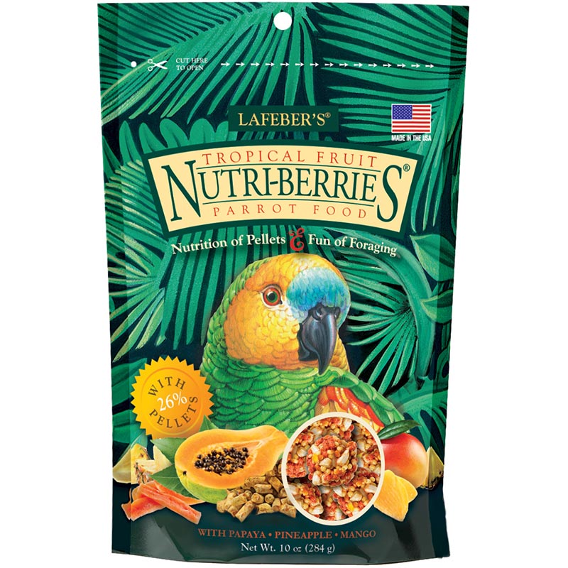 parrot food online store
