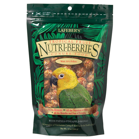 Tropical Fruit Nutri-Berries for conures