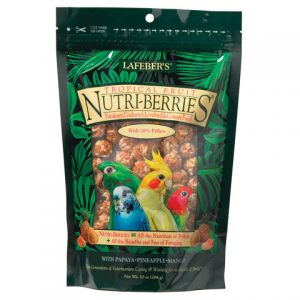 Tropical Fruit Nutri-Berries for small birds